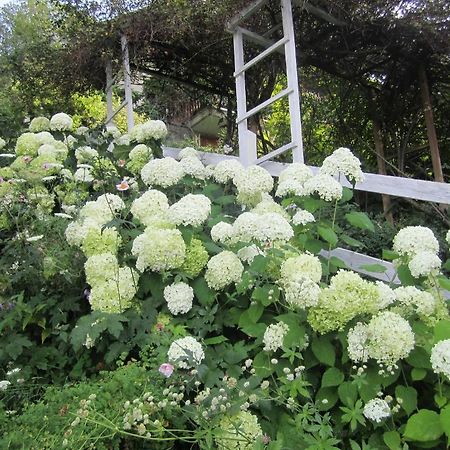 ピーラ Il Giardino Dell'Artemisiaヴィラ エクステリア 写真