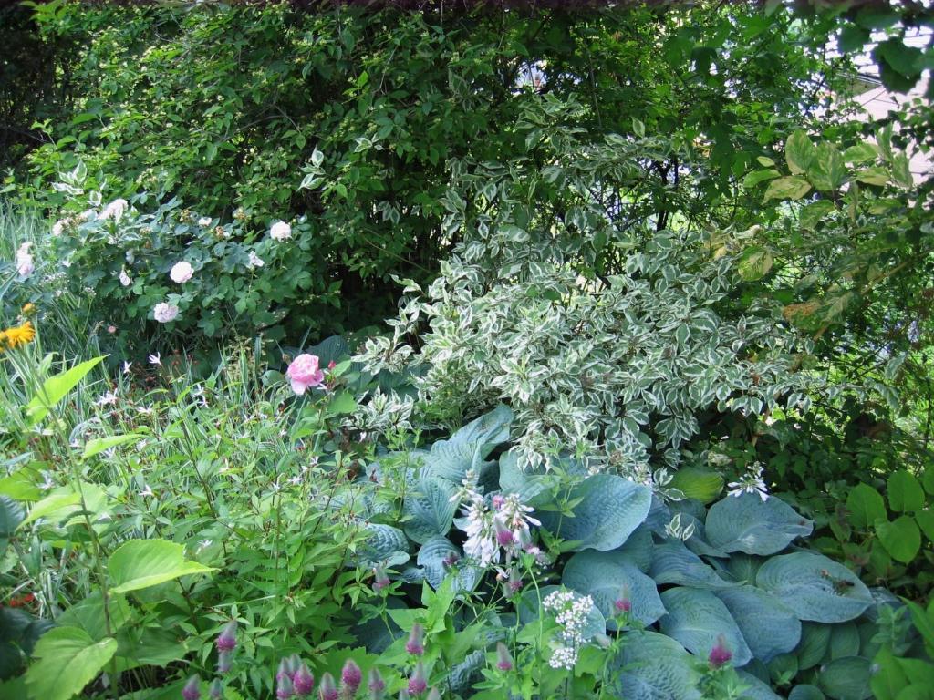 ピーラ Il Giardino Dell'Artemisiaヴィラ エクステリア 写真